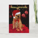 Search for border terrier christmas cards Animal