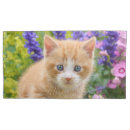 Search for animal lover pillowcases Kitty
