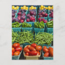 Search for multi colored postcards Abundance