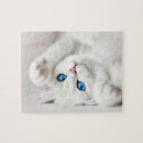 Search for fluffy white Animals