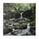 Search for boulder tiles Forest