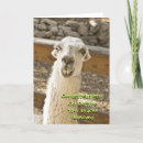 Search for braces cards Off