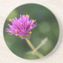 Search for single flower photography Nature