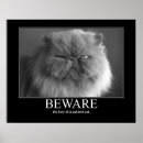 Search for beware posters Kitty