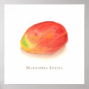 Search for mango posters Fruit
