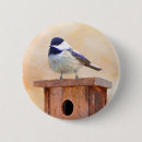 Search for chickadees badges Bird