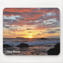 Search for oahu electronics Aloha