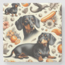 Search for dachshund coasters Pets