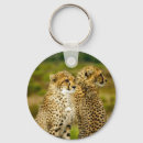 Search for cheetah cat key rings Mammal
