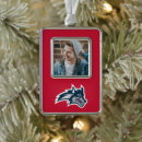 Search for brook christmas tree decorations College