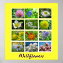 Search for horticulture art Nature