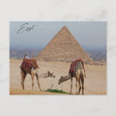 Search for pharaoh postcards Desert
