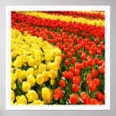 Search for tulip wedding art Garden