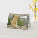 Search for eyes closed cards Cat