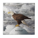 Search for 4x4 tiles Bird