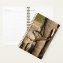 Search for conservation planners Africa