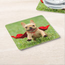 Search for french bulldog coasters Playful
