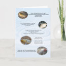 Search for 2 fish cards Fisherman