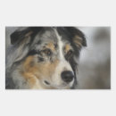Search for merle stickers Pet