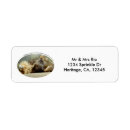 Search for lion king return address labels Zoo