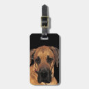 Search for great dane accessories Canine