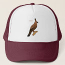 Search for hawk hats Eagle