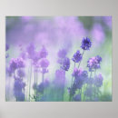 Search for shading art Nature