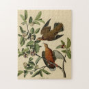 Search for audubon birds puzzles John james audubon