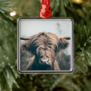 Search for highland cow christmas tree decorations Scotland