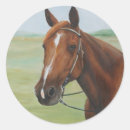 Search for quarter horse stickers Farm