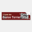 Search for boston terrier bumper stickers Puppies