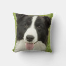 Search for border collie cushions Herding dog