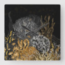 Search for coral clocks Nautical