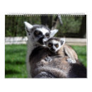 Search for lemur calendars 2025