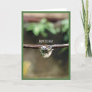 Search for droplets cards Nature