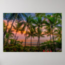Search for pacific island posters Travel