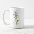 Search for sweet pea flowers mugs Botanical