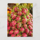 Search for vietnam postcards Fruit