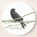 Search for the crow coasters Bird
