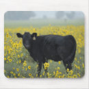 Search for sandhill mousepads Animal