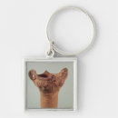 Search for province key rings Japanese