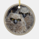 Search for chicks christmas tree decorations Wildlife