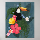 Search for tropical toucan posters Birds