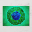 Search for nucleus postcards Cell biology