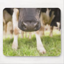 Search for noses mousepads Horizontal