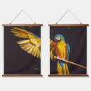 Search for macaws photography Wildlife