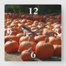 Search for the pumpkin patch photography Fall