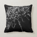 Search for chrysanthemum cushions Botanical