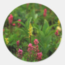 Search for cascade range stickers Cascades