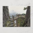 Search for pathway Tranquil
